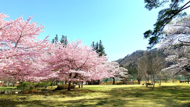 鬼怒川レジャー公園
